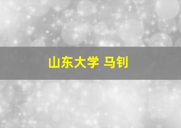 山东大学 马钊